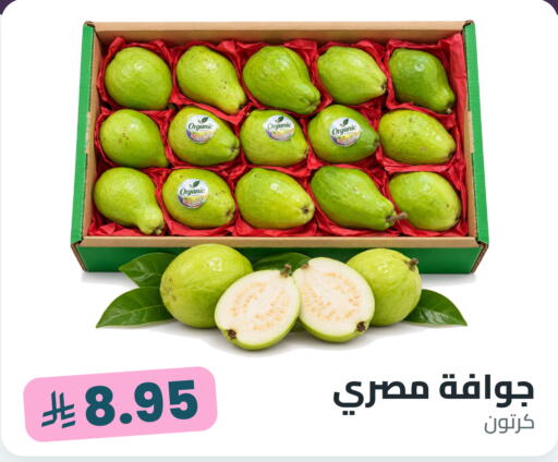 available at Tmoon Dammam in KSA, Saudi Arabia, Saudi - Dammam