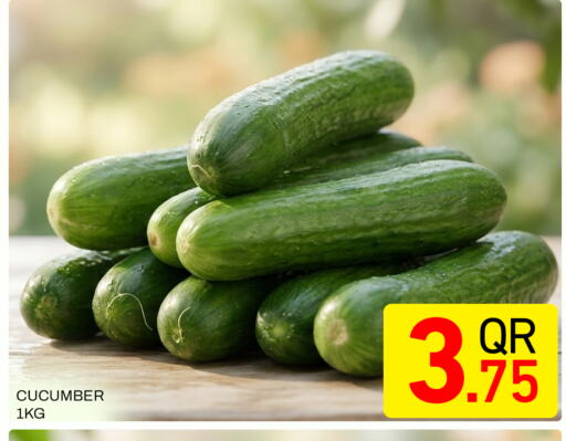 Cucumber available at Majlis Hypermarket in Qatar - Doha