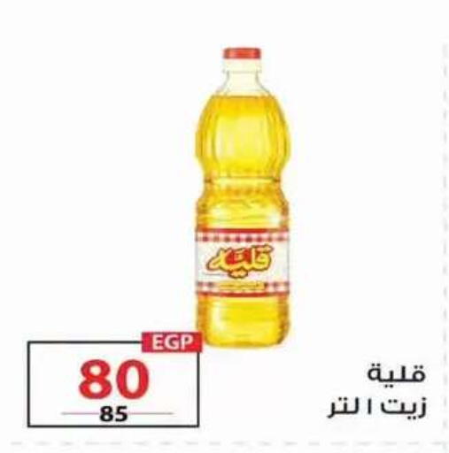 متوفر لدى زهران ماركت في Egypt - القاهرة