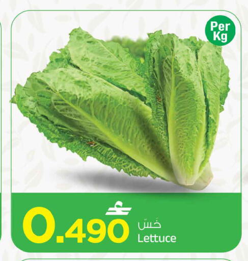 Lettuce متوفر لدى مارك & سايف في عُمان - مسقط‎