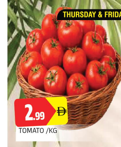 Tomato متوفر لدى المدينة في الإمارات العربية المتحدة , الامارات - الشارقة / عجمان