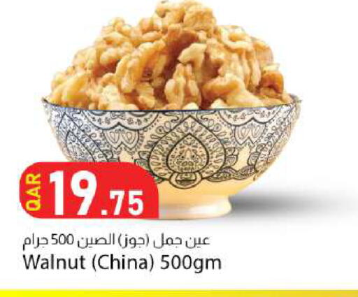 متوفر لدى دانا ماركت في قطر - الضعاين