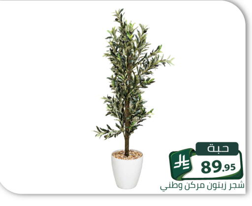 متوفر لدى تخفيضات العائلة في مملكة العربية السعودية, السعودية, سعودية - الرياض