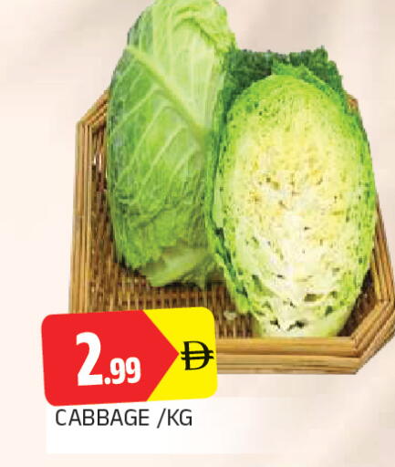 Cabbage متوفر لدى المدينة في الإمارات العربية المتحدة , الامارات - الشارقة / عجمان