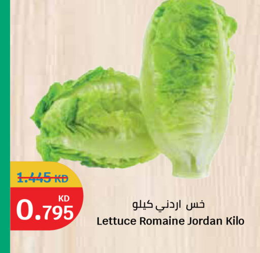 Lettuce from Jordan available at City Hypermarket in Kuwait - Jahra Governorate