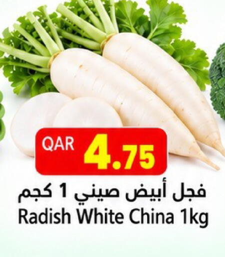 Radish من China متوفر لدى جلف فود سنتر في قطر - الوكرة