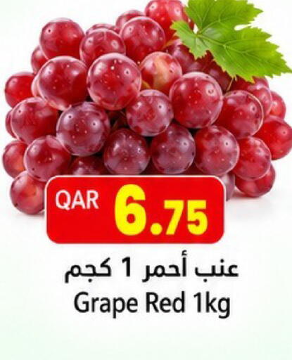 متوفر لدى جلف فود سنتر في قطر - الضعاين