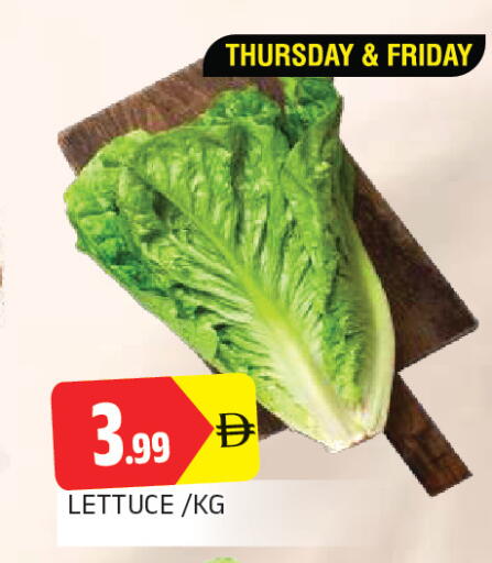 Lettuce متوفر لدى المدينة في الإمارات العربية المتحدة , الامارات - الشارقة / عجمان