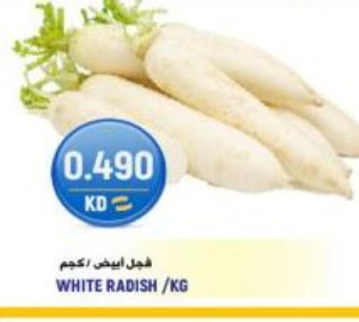 Radish متوفر لدى  سابساه هايبر ماركت في الكويت - محافظة الجهراء