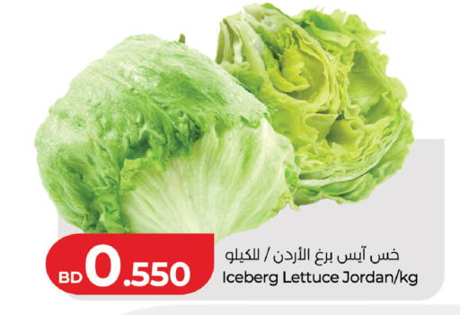 Lettuce from Jordan available at LuLu Hypermarket in Bahrain