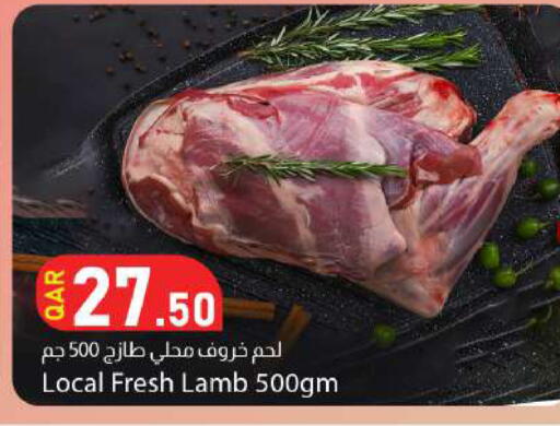 متوفر لدى دانا ماركت في قطر - الوكرة