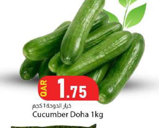 Cucumber from Qatar available at Dana Market in Qatar - Al Shamal