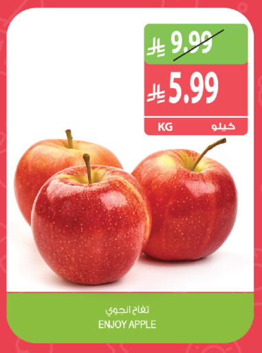 Apple available at Farm  in KSA, Saudi Arabia, Saudi - Yanbu