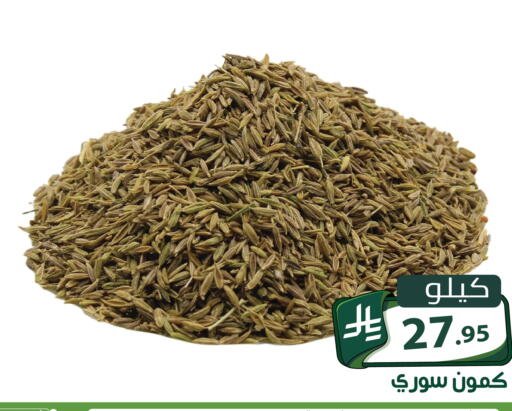 available at Family Discount in KSA, Saudi Arabia, Saudi - Riyadh