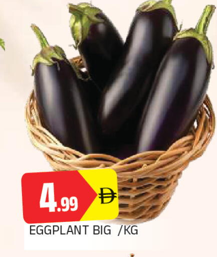 Eggplant متوفر لدى المدينة في الإمارات العربية المتحدة , الامارات - الشارقة / عجمان