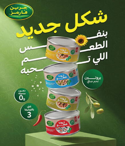 متوفر لدى بن داود في مملكة العربية السعودية, السعودية, سعودية - المدينة المنورة