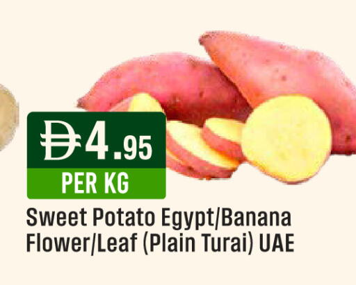 Banana Sweet Potato من Egypt متوفر لدى ويست زون سوبرماركت في الإمارات العربية المتحدة , الامارات - الشارقة / عجمان