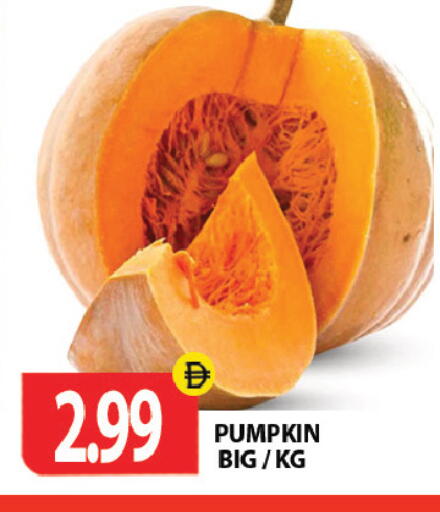 Pumpkin متوفر لدى جلف هايبرماركت ذ.م.م في الإمارات العربية المتحدة , الامارات - رَأْس ٱلْخَيْمَة