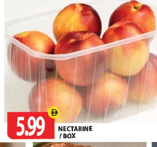 Nectarine متوفر لدى جلف هايبرماركت ذ.م.م في الإمارات العربية المتحدة , الامارات - رَأْس ٱلْخَيْمَة