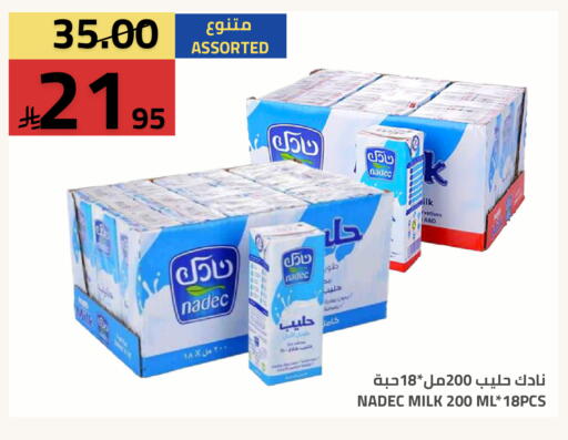 available at Astra Markets in KSA, Saudi Arabia, Saudi - Tabuk