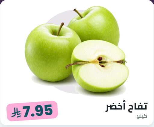 available at Tmoon Dammam in KSA, Saudi Arabia, Saudi - Dammam