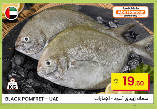available at Al Baladi Al Yawm in Qatar - Al Shamal