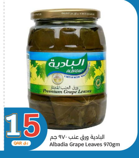 متوفر لدى سيتي هايبرماركت في قطر - الريان