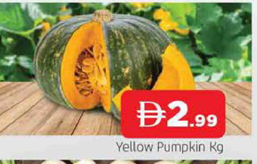 Pumpkin متوفر لدى المدينة في الإمارات العربية المتحدة , الامارات - الشارقة / عجمان