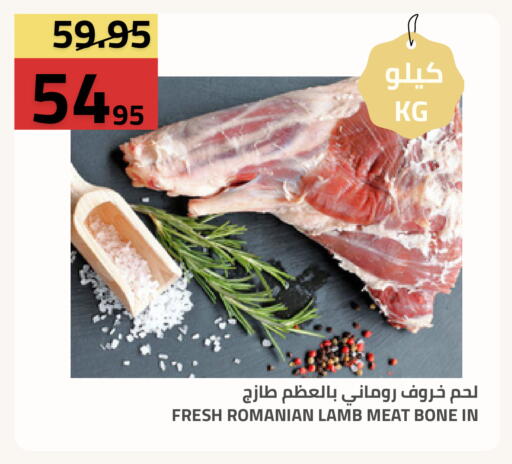 متوفر لدى أسواق أسترا في مملكة العربية السعودية, السعودية, سعودية - تبوك