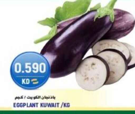 Eggplant من Kuwait متوفر لدى  سابساه هايبر ماركت في الكويت - محافظة الجهراء