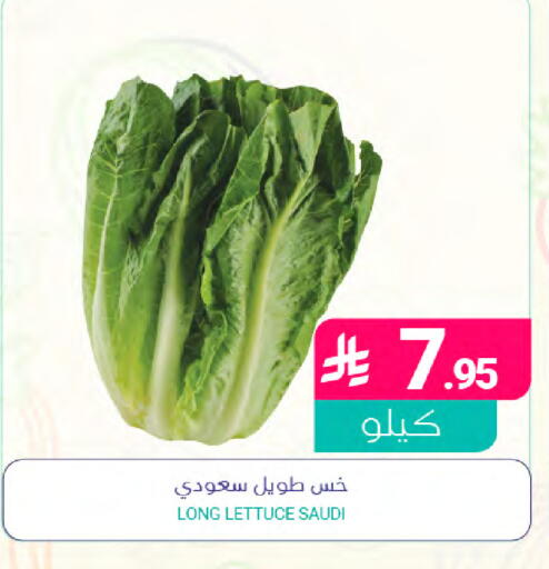 Lettuce from Saudi Arabia available at Muntazah Markets in KSA, Saudi Arabia, Saudi - Saihat