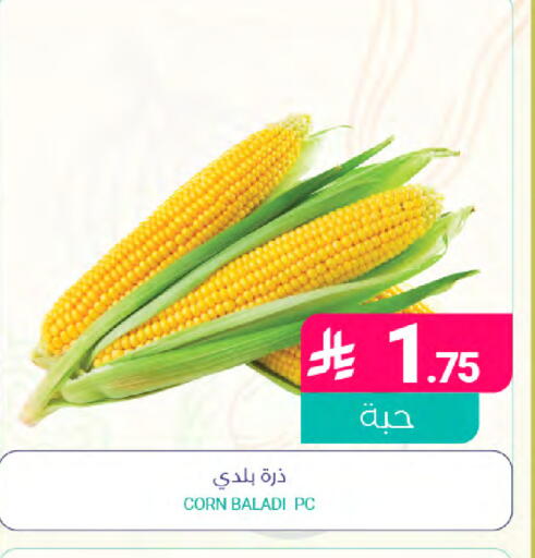 available at Muntazah Markets in KSA, Saudi Arabia, Saudi - Saihat