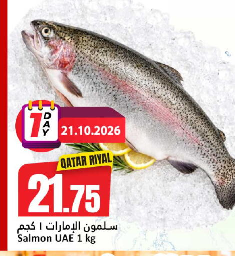 متوفر لدى دانة هايبرماركت في قطر - الريان