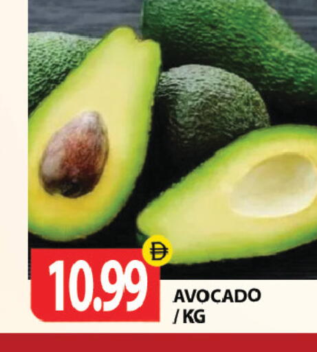 Avocado available at Gulf Hypermarket LLC in UAE - Ras al Khaimah