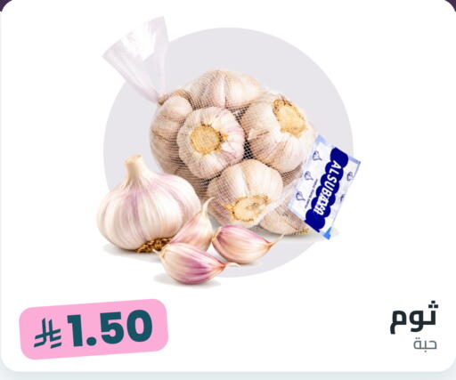 available at Tmoon Dammam in KSA, Saudi Arabia, Saudi - Dammam