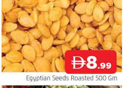 متوفر لدى المدينة في الإمارات العربية المتحدة , الامارات - الشارقة / عجمان