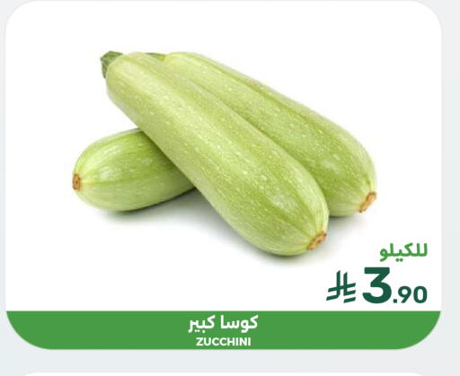 Zucchini متوفر لدى  مـزايــا في مملكة العربية السعودية, السعودية, سعودية - سيهات