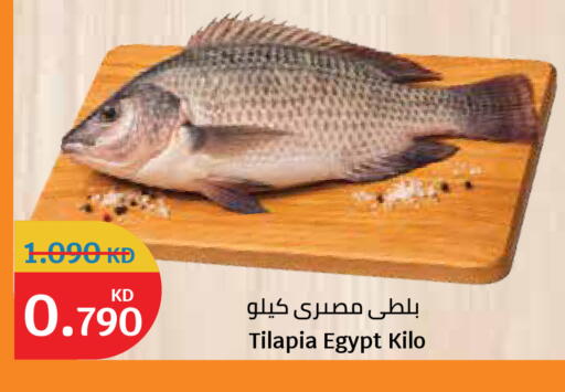 متوفر لدى سيتي هايبرماركت في الكويت - مدينة الكويت