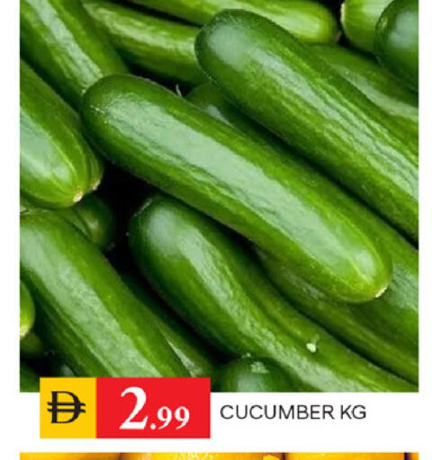 Cucumber available at TALAL MARKET in UAE - Sharjah / Ajman