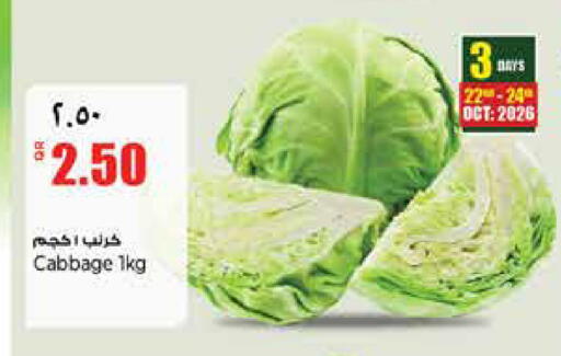 Cabbage متوفر لدى ريتيل مارت في قطر - الدوحة