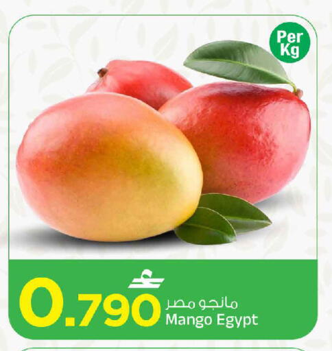 Mango من Egypt متوفر لدى مارك & سايف في عُمان - مسقط‎