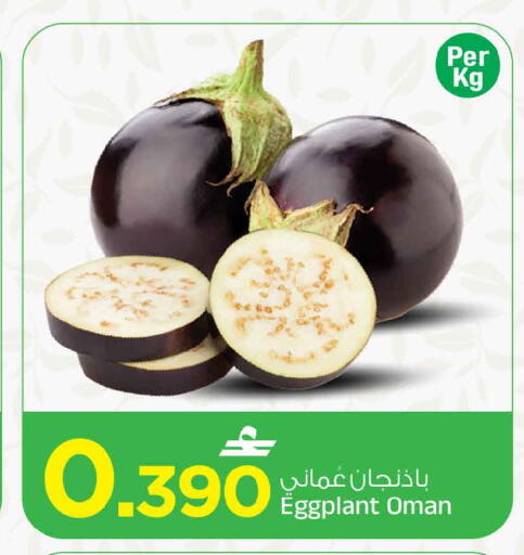 Eggplant من Oman متوفر لدى مارك & سايف في عُمان - مسقط‎
