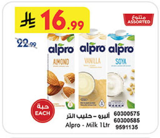 Vanilla متوفر لدى بن داود في مملكة العربية السعودية, السعودية, سعودية - المدينة المنورة