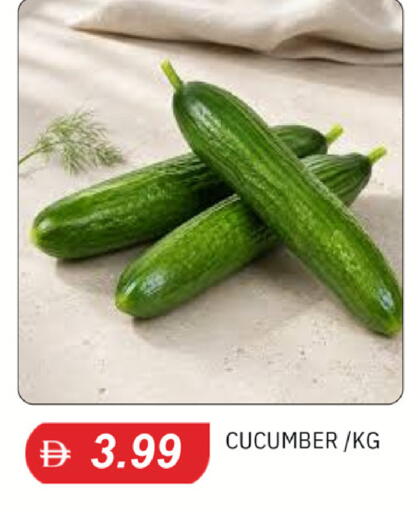 Cucumber available at TALAL MARKET in UAE - Dubai