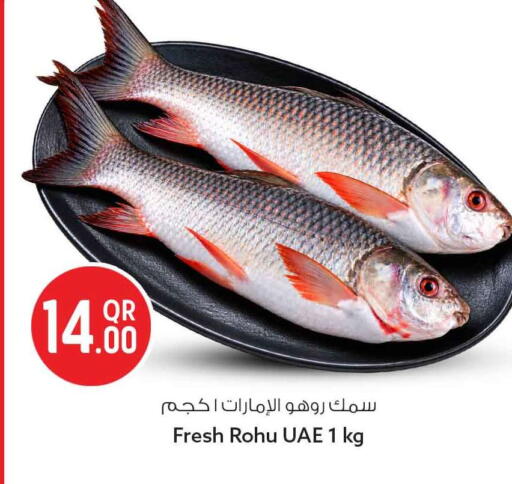 available at Safari Hypermarket in Qatar - Al Wakra