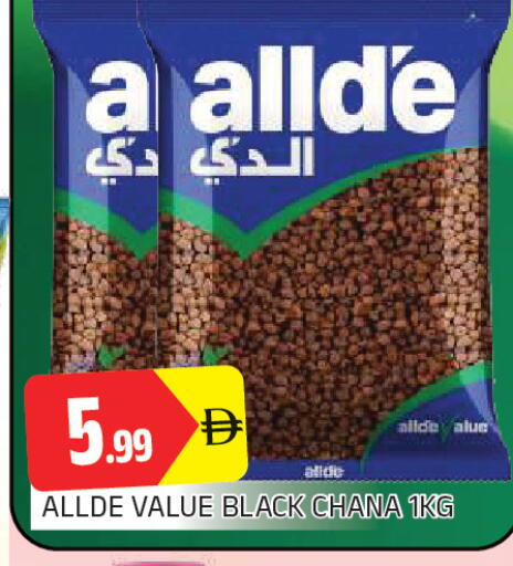 متوفر لدى المدينة في الإمارات العربية المتحدة , الامارات - الشارقة / عجمان