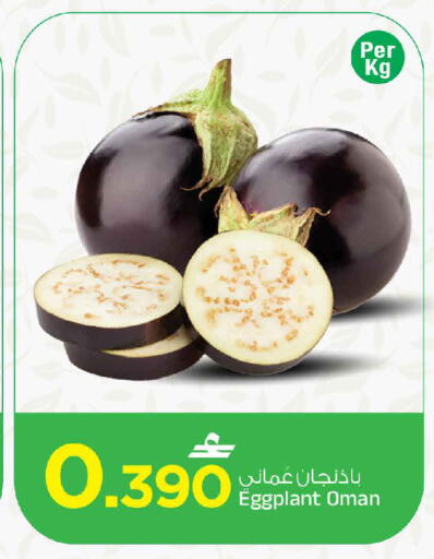 Eggplant من Oman متوفر لدى مارك & سايف في عُمان - مسقط‎