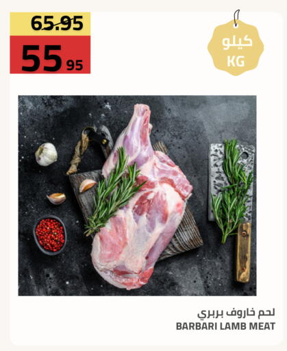 متوفر لدى أسواق أسترا في مملكة العربية السعودية, السعودية, سعودية - تبوك