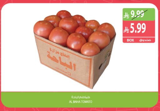 Tomato متوفر لدى المزرعة في مملكة العربية السعودية, السعودية, سعودية - الباحة