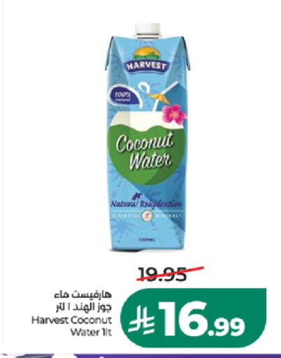 Coconut متوفر لدى لولو هايبرماركت في مملكة العربية السعودية, السعودية, سعودية - خميس مشيط